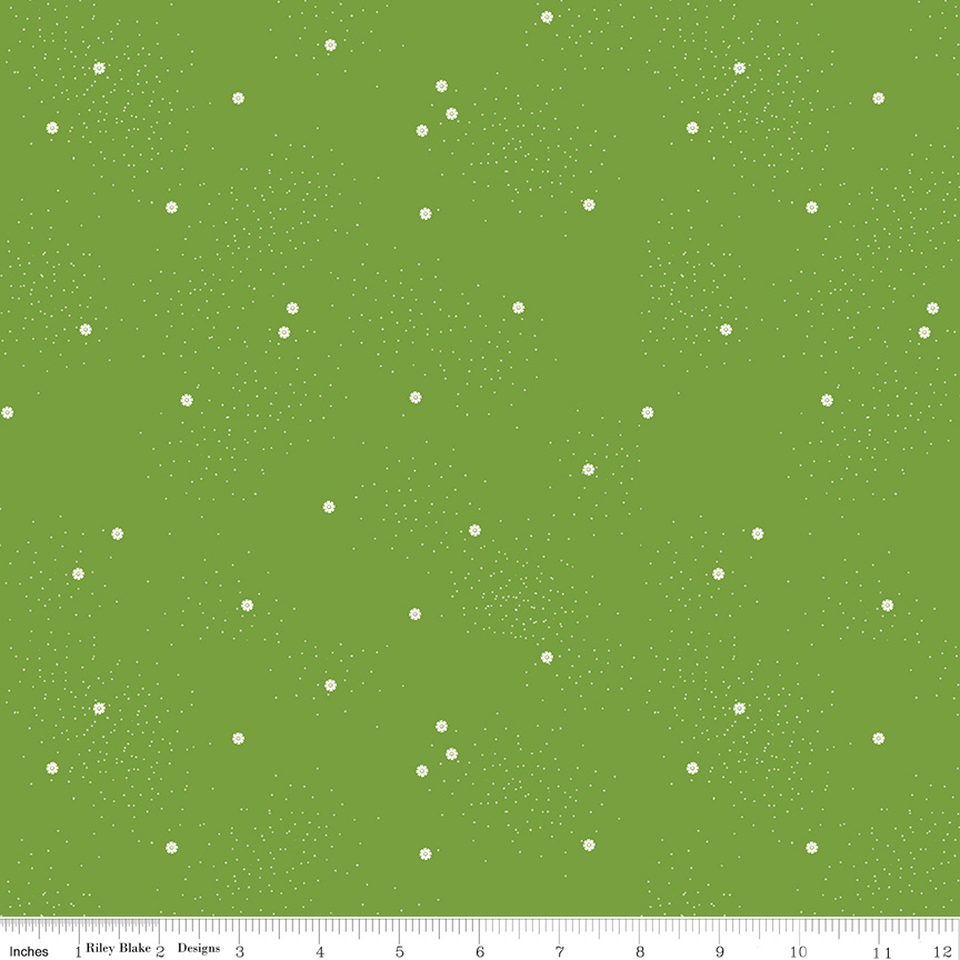 Dainty Daisy Holly