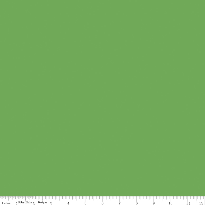 Confetti Cotton Riley Green fabric by Riley Blake Designs green solid quilting fabric
