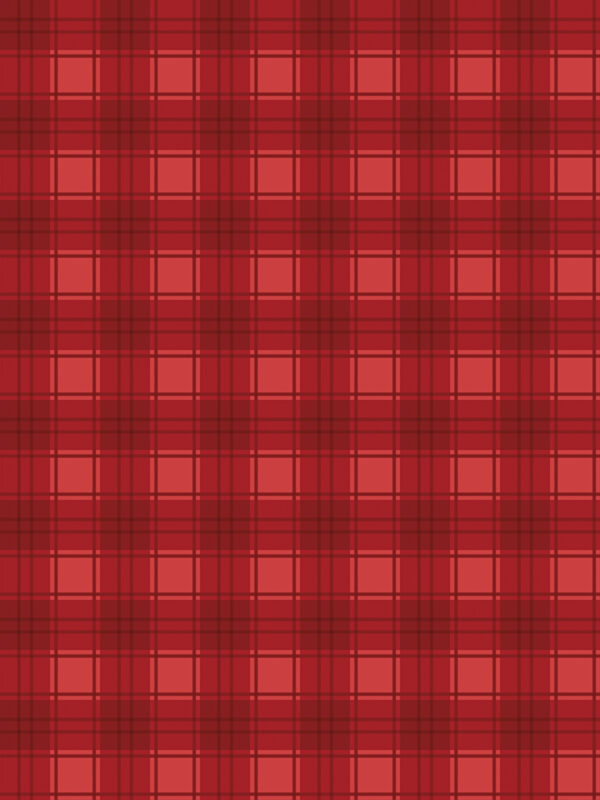 Evergreen Wishes Plaid Red fabric with traditional red plaid pattern