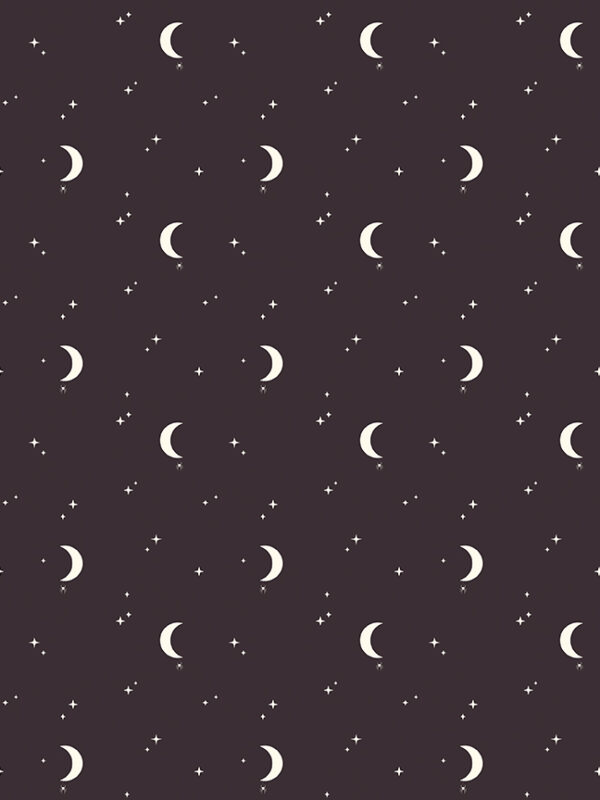 Apothecary Night Sky Midnight fabric with moons spiders and stars on dark background