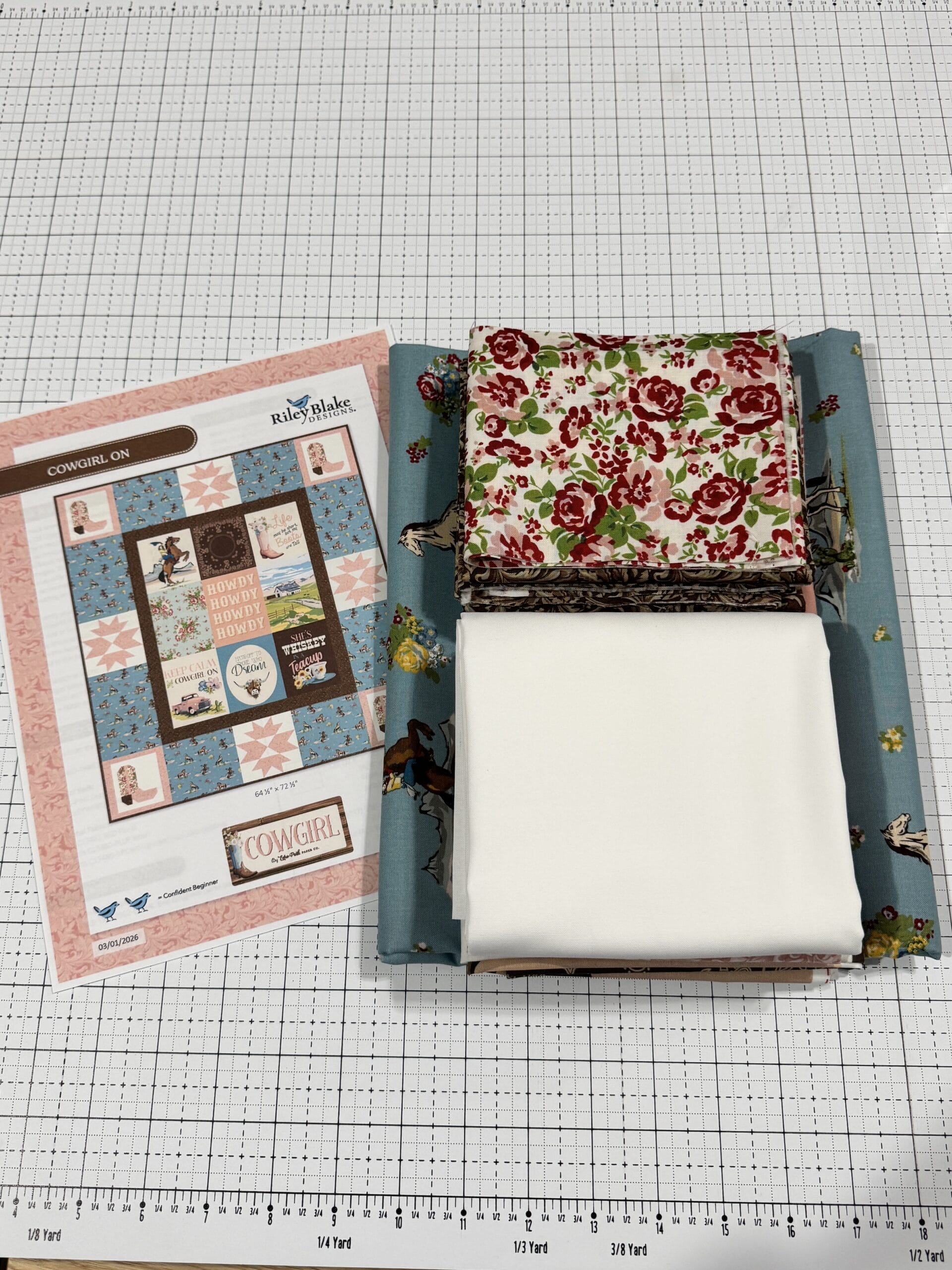 Cowgirl On Quilt Kit Fabric and Panel Cowgirl On quilt kit with fabric panel and coordinating prints Echo Park quilt kit contents